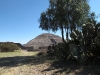 Teotihuacan (10)